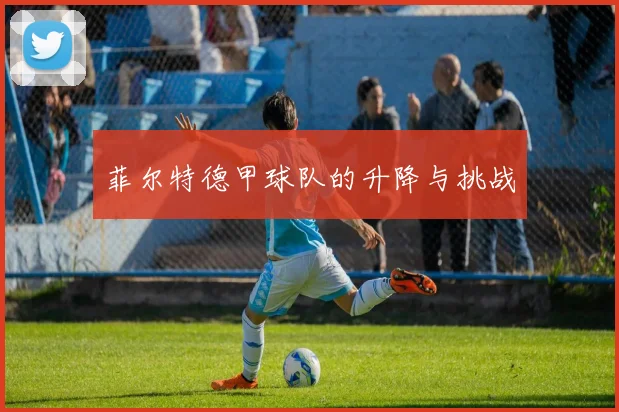 菲尔特德甲球队的升降与挑战